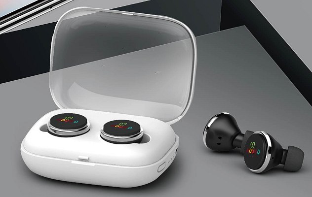 Bluetooth Earbuds black buds and white case